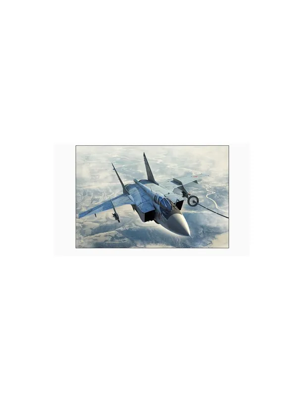 Super ofertă Hobby Boss 81754 MiG-31B/BM Foxhound-B