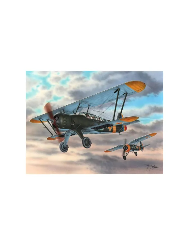 Special Hobby 72293 IAR-38 Romanian Reconnaissance Plane Reduceri