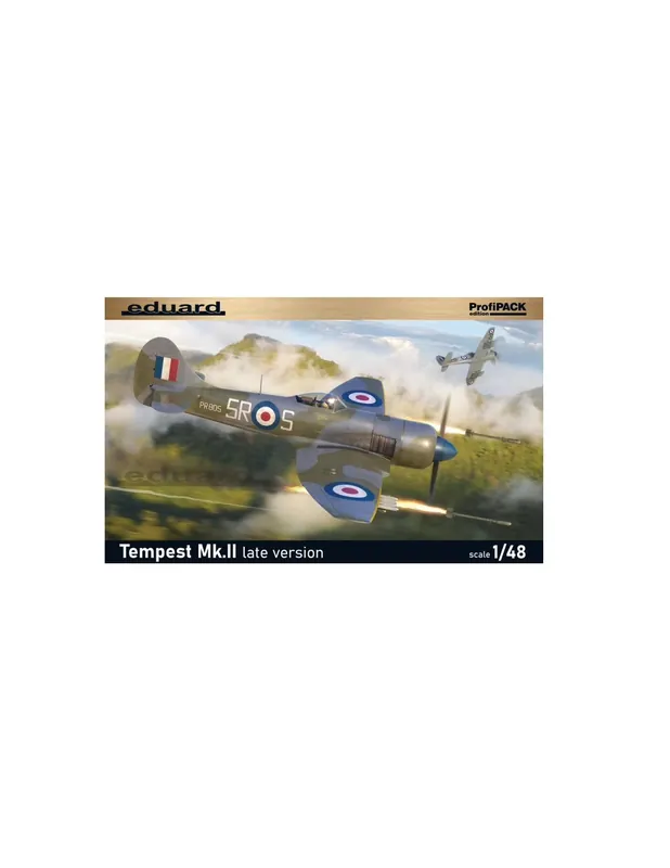Plată securizată Eduard 82125 Tempest Mk.II late version