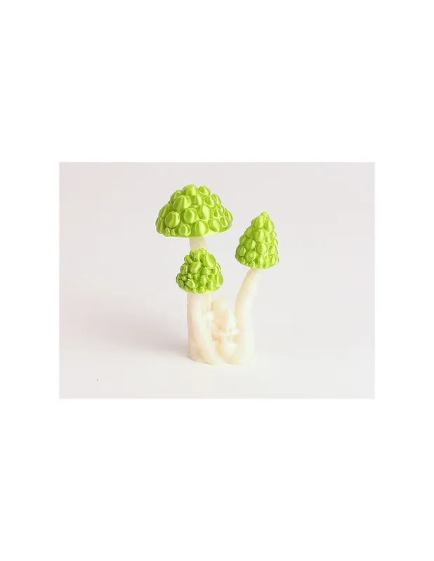 3D Mushroom v1 Reducere specială