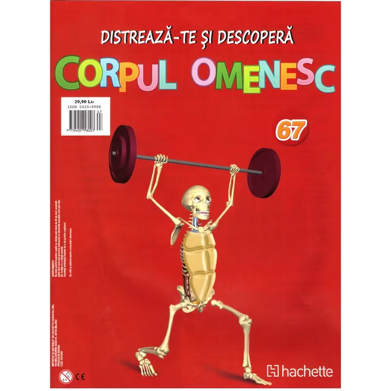 Distreaza-te si descopera Corpul Omenesc 2016 nr.67 - Suport superior fata Ieftin