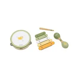 Set de instrumente muzicale, Viga, PolarB, Pasari Super ofertă